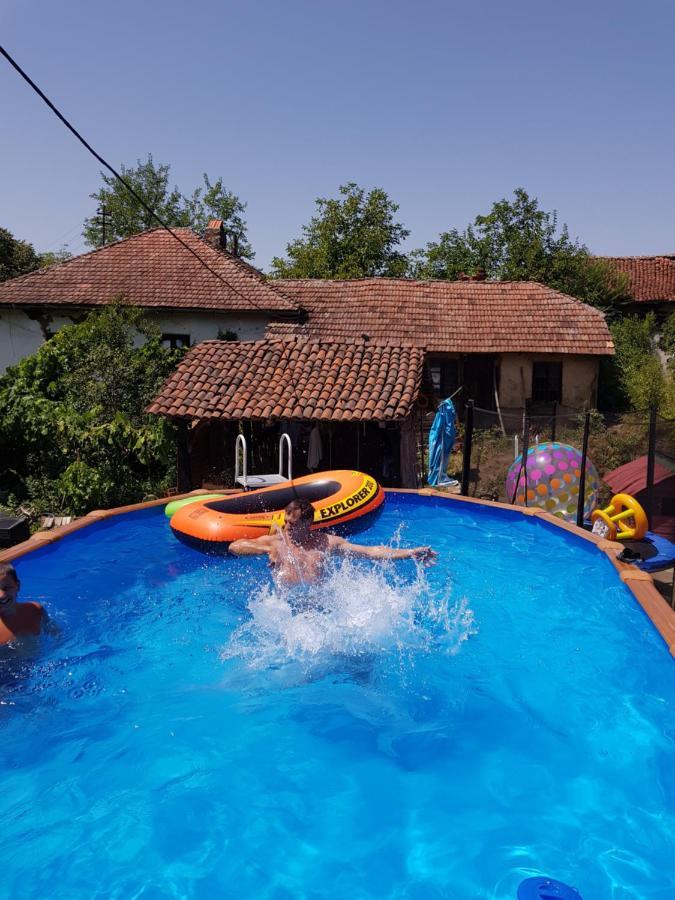 Lozanski Ambar Villa Boljevac Exterior foto